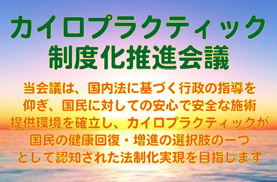 カイロプラクティック 制度化推進会議